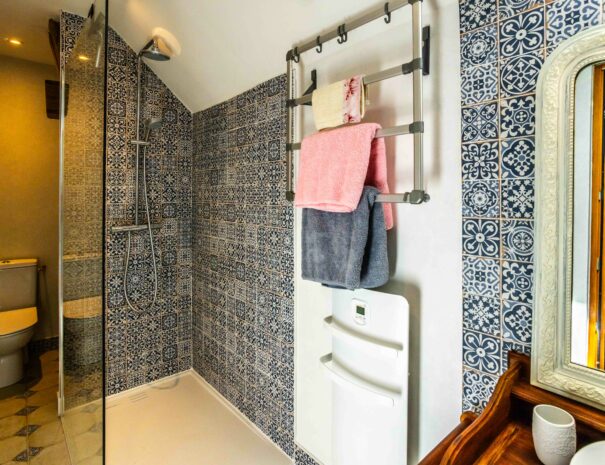salle_de_bains_fleur_bleue-4