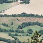 IMG_20230807_121900